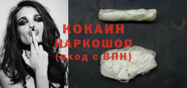 гидра Белокуриха