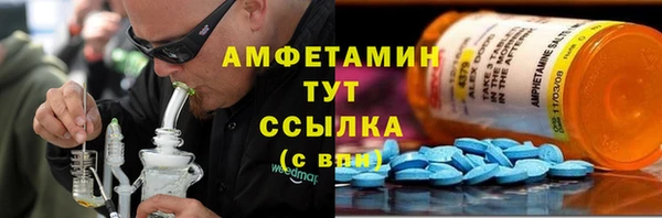 гидра Белокуриха