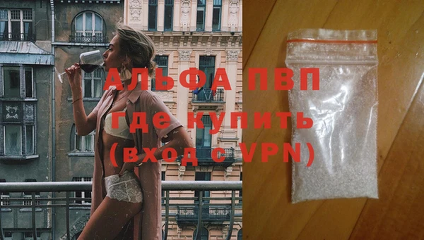 гидра Белокуриха